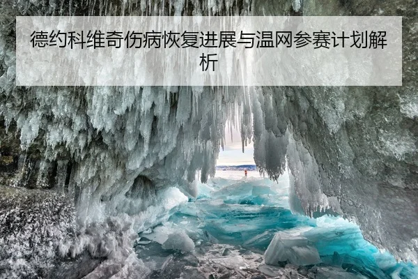 德约科维奇伤病恢复进展与温网参赛计划解析