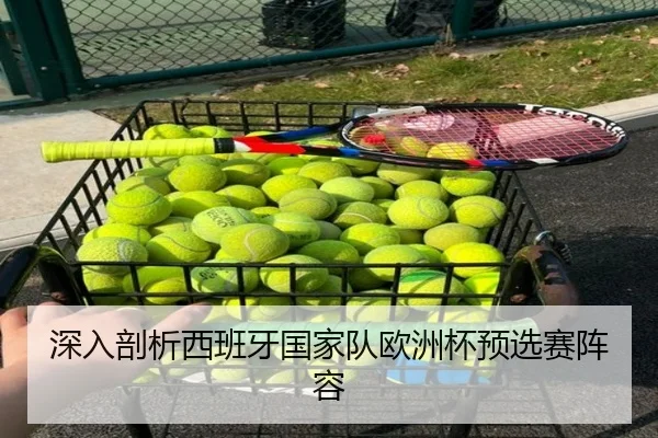 深入剖析西班牙国家队欧洲杯预选赛阵容